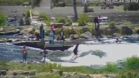 Bend Whitewater Park Webcam – Oregon, Video